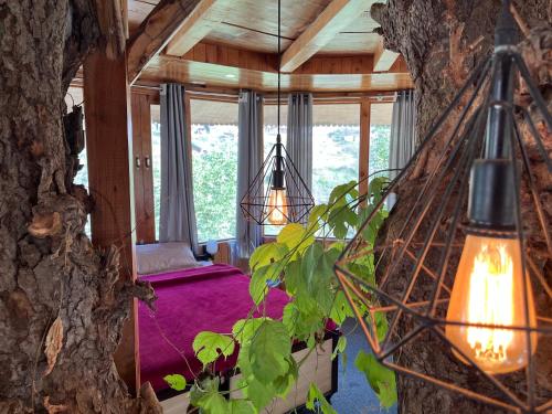 the hidden burrow by whoopers