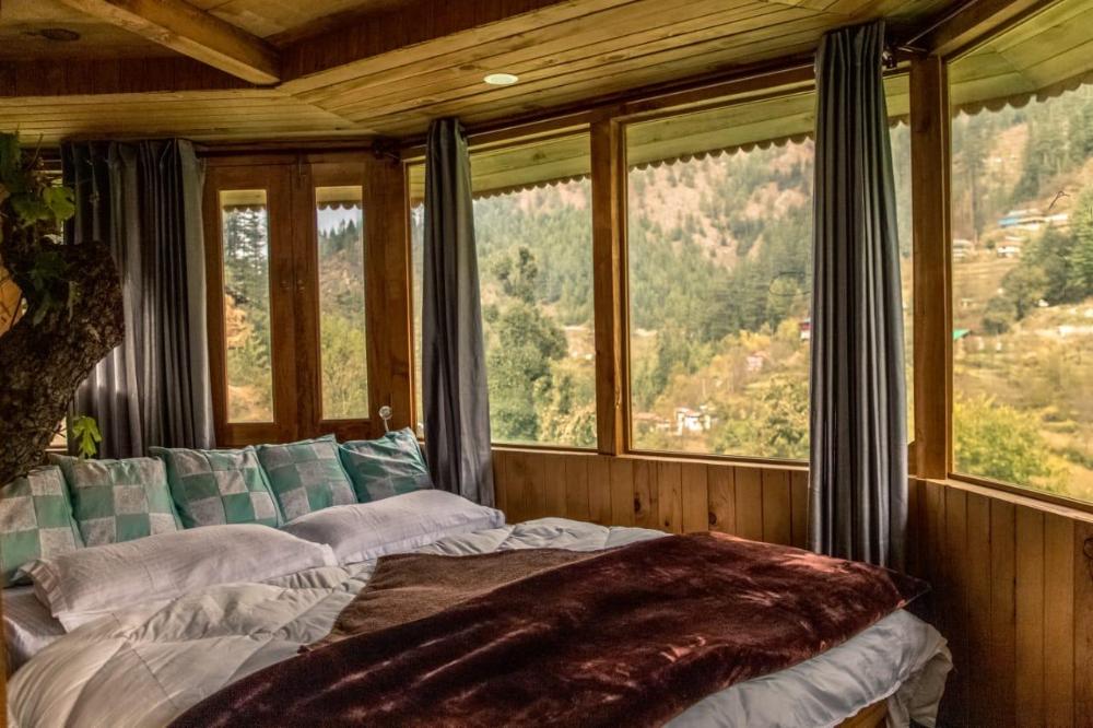 the hidden burrow by whoopers