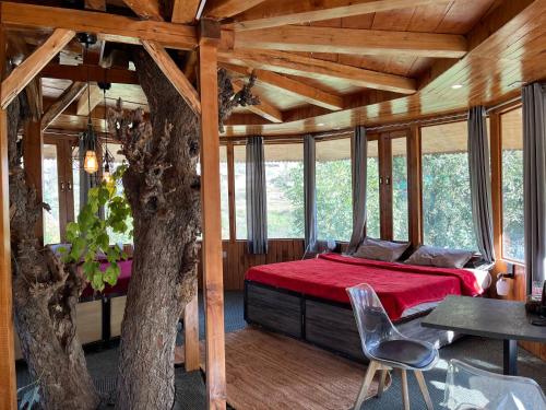 the hidden burrow by whoopers