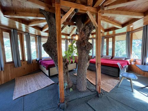 the hidden burrow by whoopers