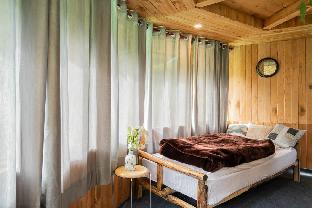 the hidden burrow by whoopers