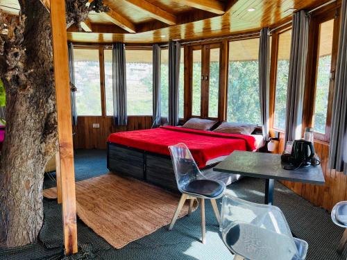 the hidden burrow by whoopers