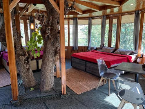 the hidden burrow by whoopers