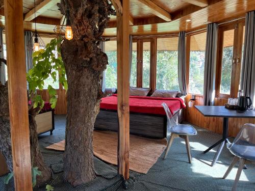 the tree house jibhi swastika aashiyana