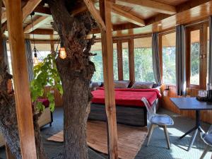 the tree house jibhi swastika aashiyana