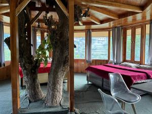 the tree house jibhi swastika aashiyana