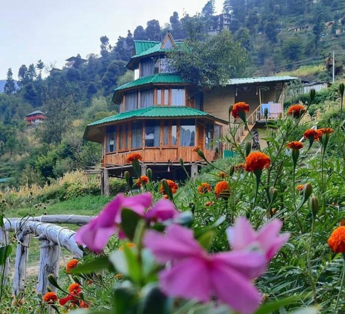 the tree house jibhi swastika aashiyana