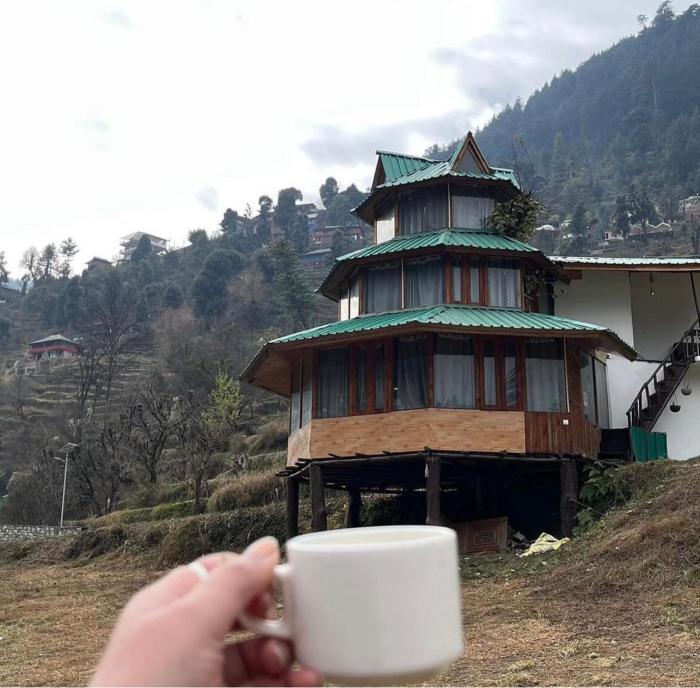 the tree house jibhi swastika aashiyana