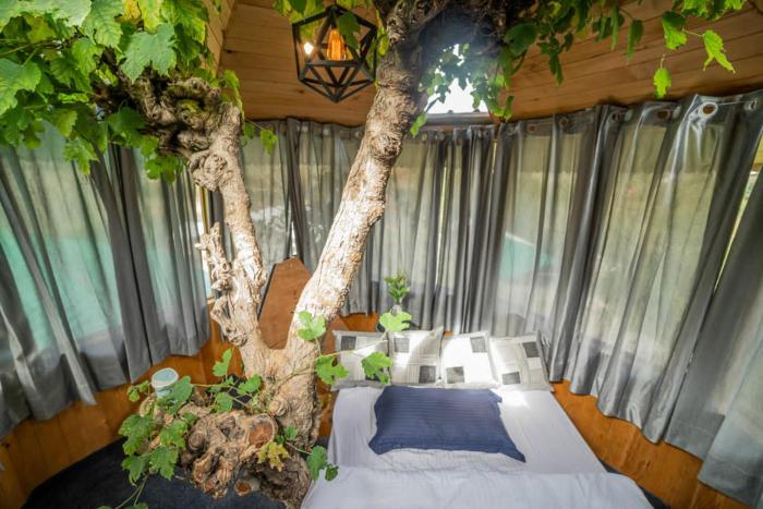 the tree house jibhi swastika aashiyana