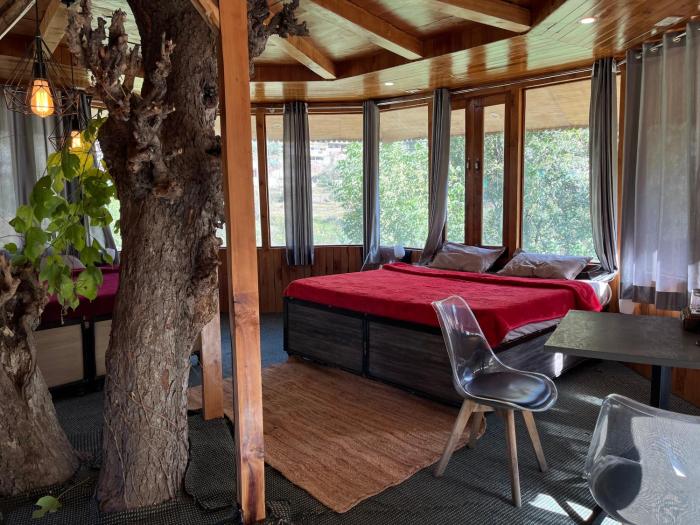 the hidden burrow by whoopers