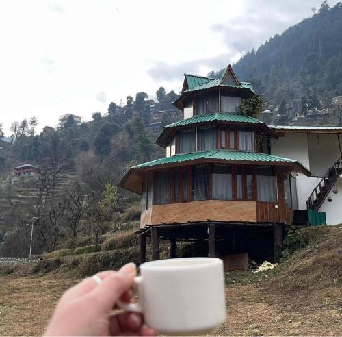 the tree house jibhi swastika aashiyana