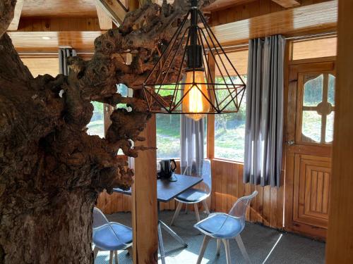 the hidden burrow by whoopers