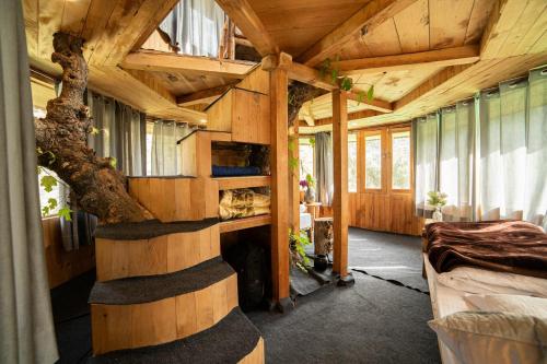 the tree house jibhi swastika aashiyana