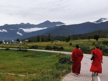 the lost hostels bir landing site