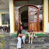 the lost hostels bir landing site