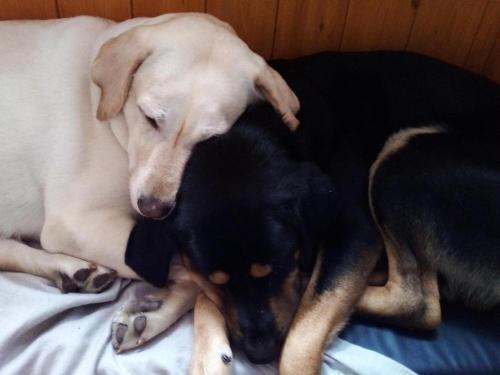 gangtok