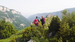 hostel quartier libre