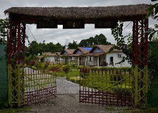 falcon jungle resort