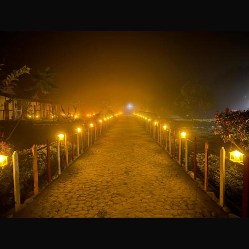 falcon jungle resort