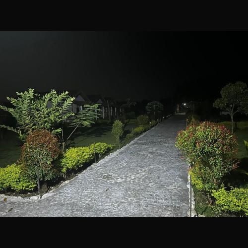 falcon jungle resort