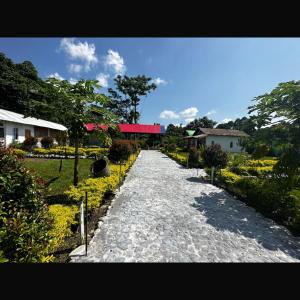 falcon jungle resort