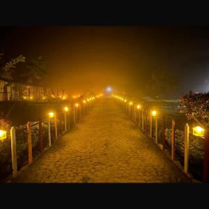 falcon jungle resort