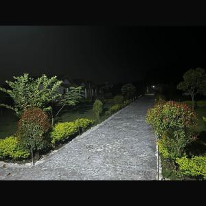 falcon jungle resort