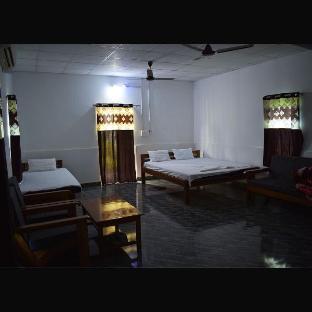 falcon jungle resort