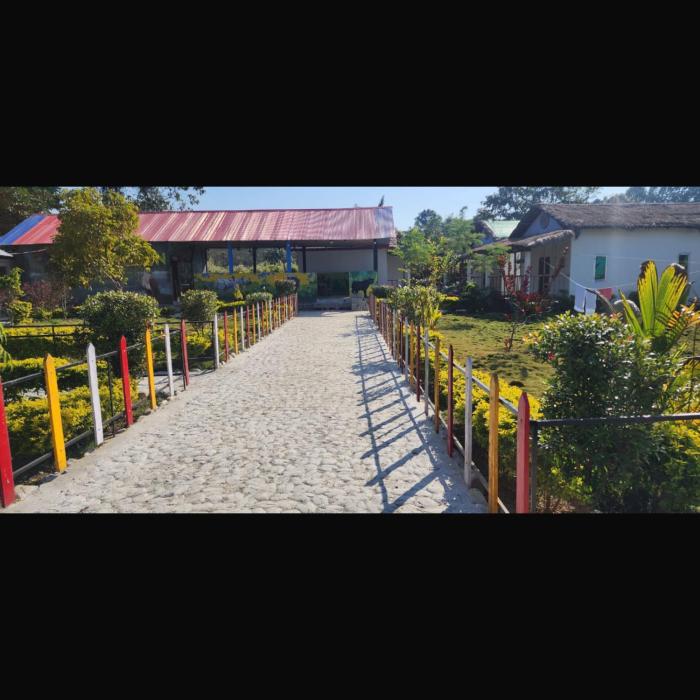 falcon jungle resort