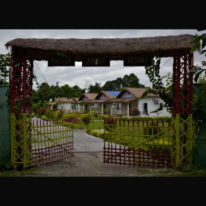 falcon jungle resort