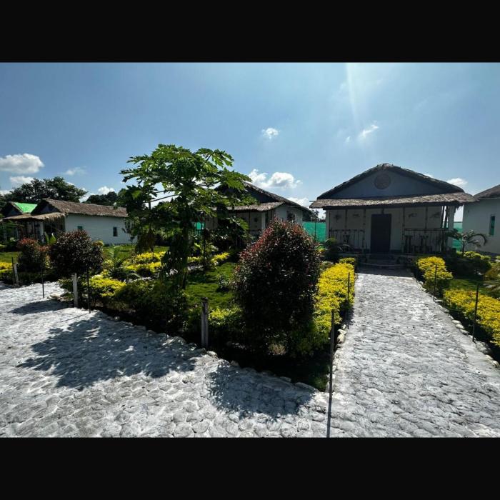 falcon jungle resort