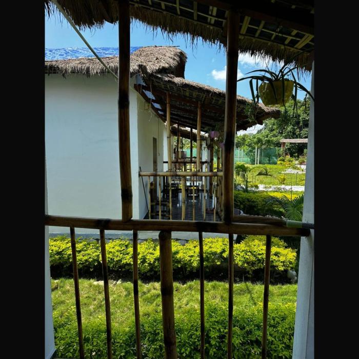 falcon jungle resort