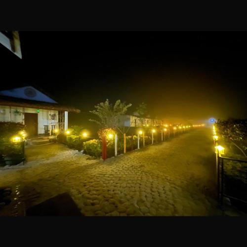 falcon jungle resort