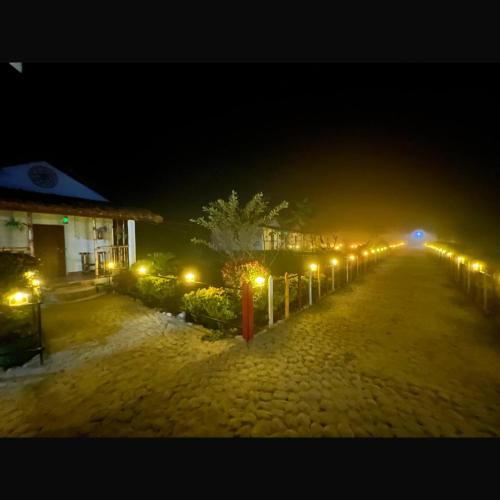 falcon jungle resort