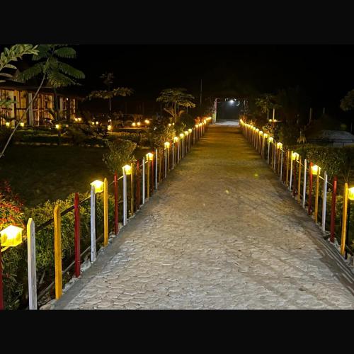 falcon jungle resort
