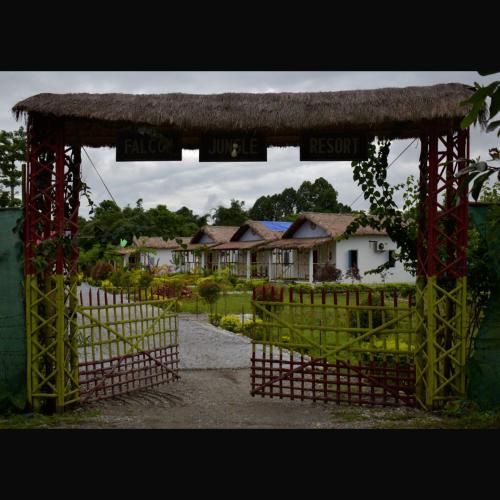 falcon jungle resort
