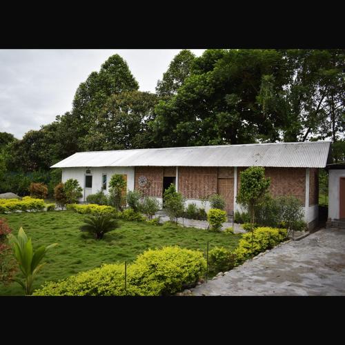 falcon jungle resort