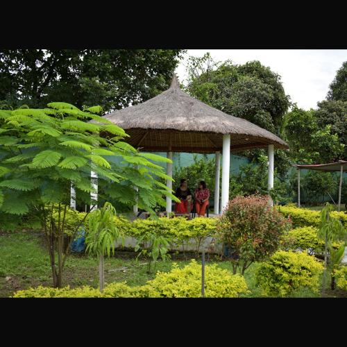 falcon jungle resort