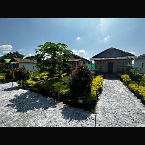 falcon jungle resort