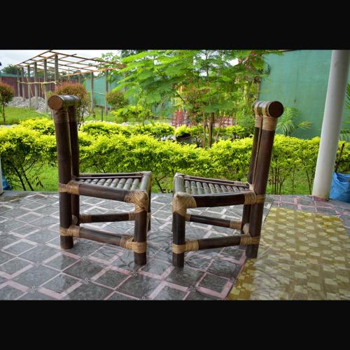 falcon jungle resort