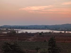 Green Paradise,,3 star