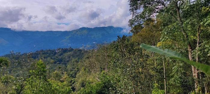 munnar