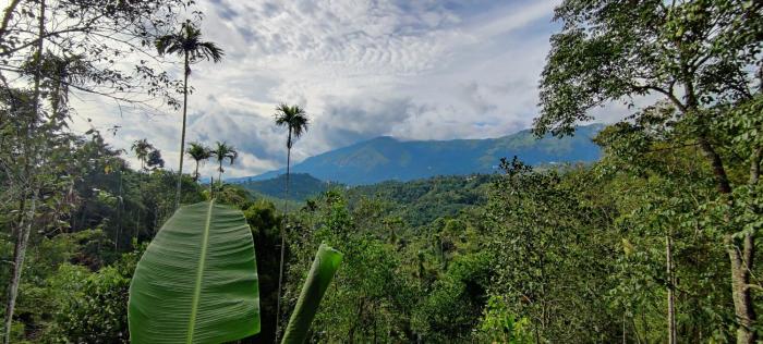 munnar