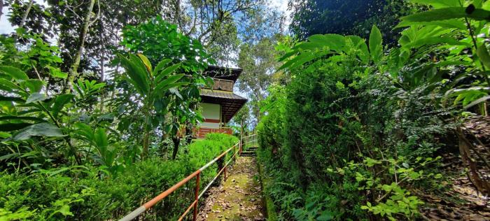 munnar