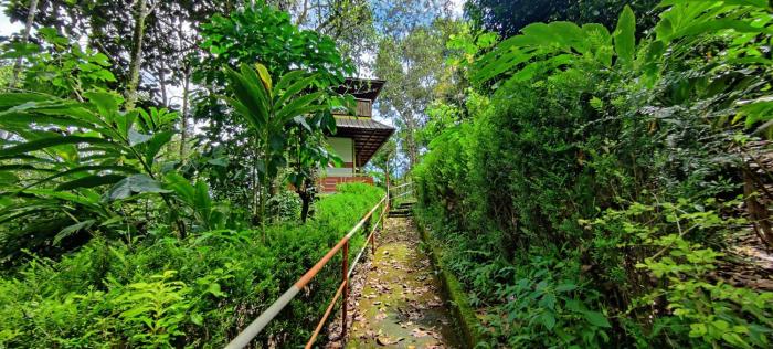 munnar