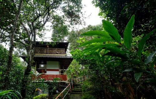 munnar