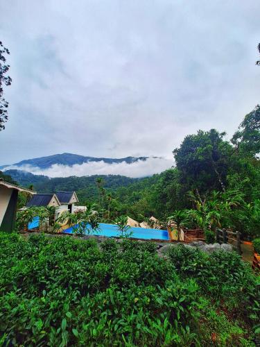 munnar