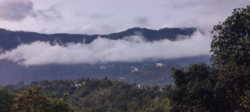 munnar