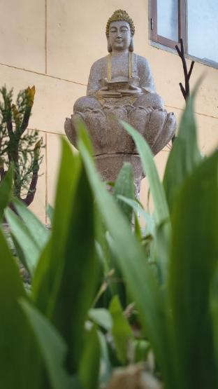 into the wild cottages