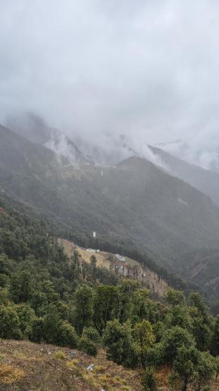 into the wild cottages